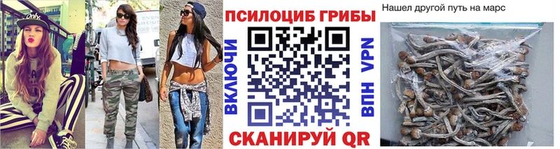 Галлюциногенные грибы MAGIC MUSHROOMS  где найти   Кяхта 